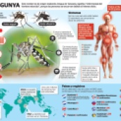 Nacionales-infografia-http-Virus-chikungunya_PREIMA20140619_0027_1